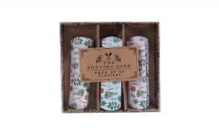 The Potting Shed Pack Of 30 Plasters - One Size
