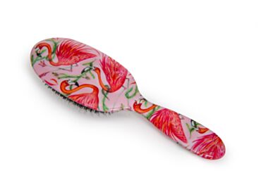 Large Mixed Bristle Brush Flamingos